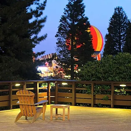 Sequoia